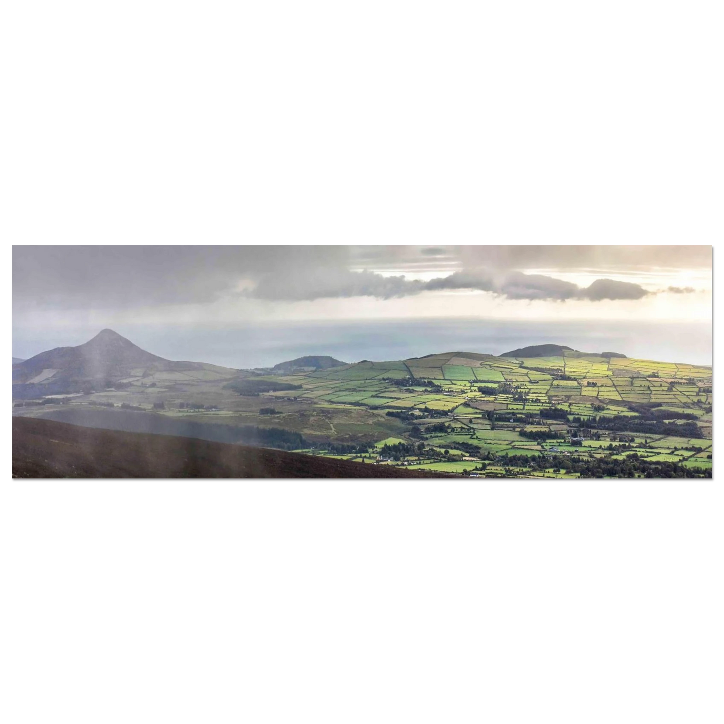 e955cbcb-fb31-48ea-8adc-6eaf13a5e5e9