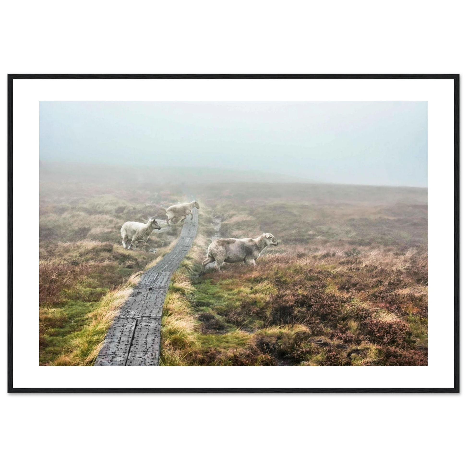 e99091ff-023e-488d-b06d-bbe244e1ee6f