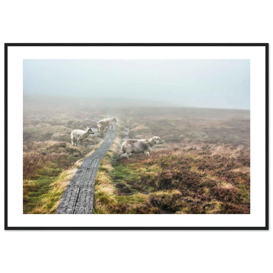 e99091ff-023e-488d-b06d-bbe244e1ee6f