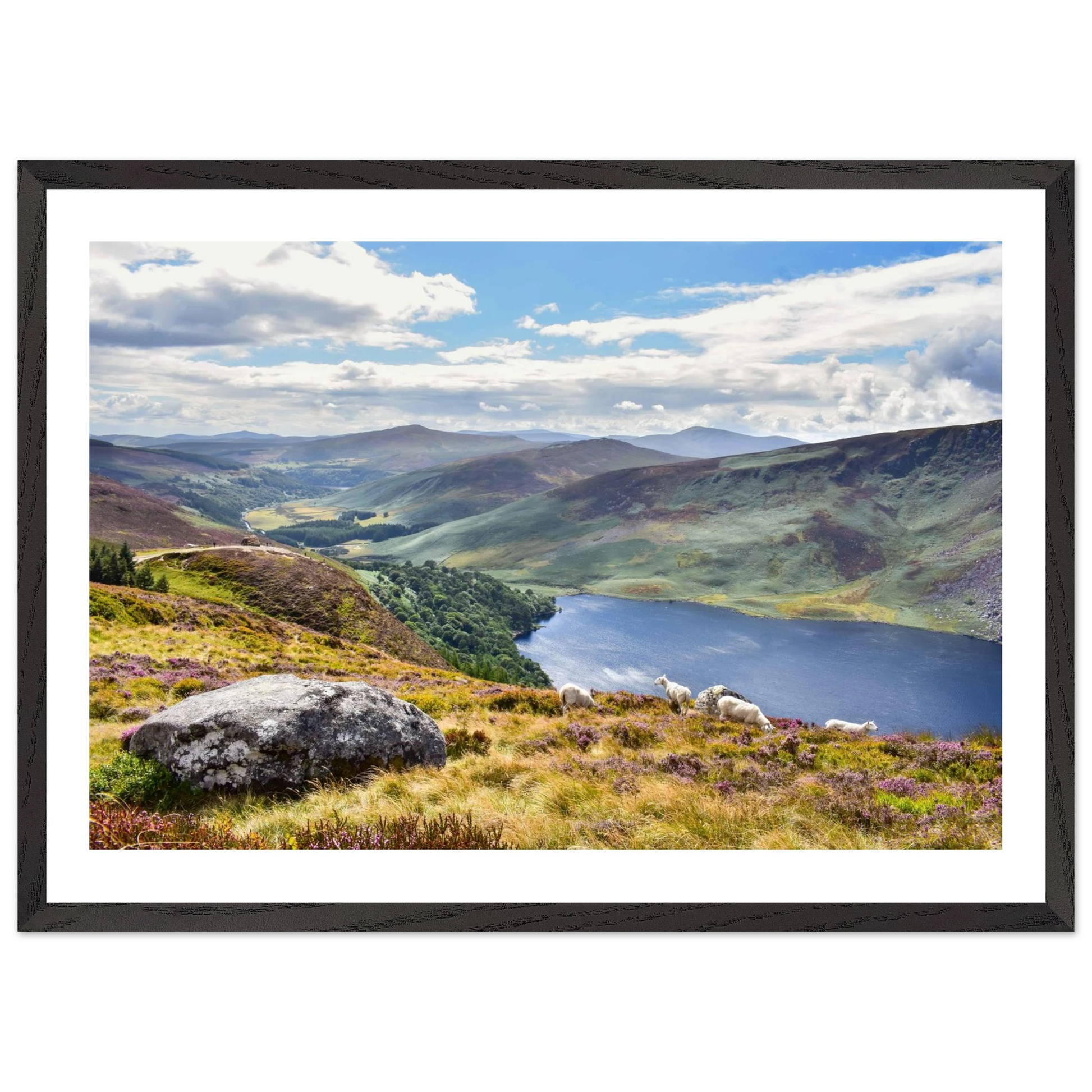 ea06a1d9-07d1-49c1-a0a1-49e6bb17cdce