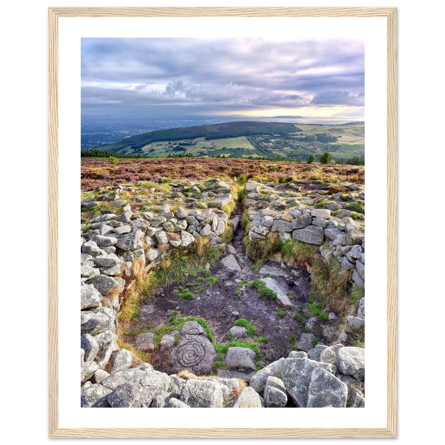 ea11cf2a-d084-409e-99f3-f274f6cf61e6