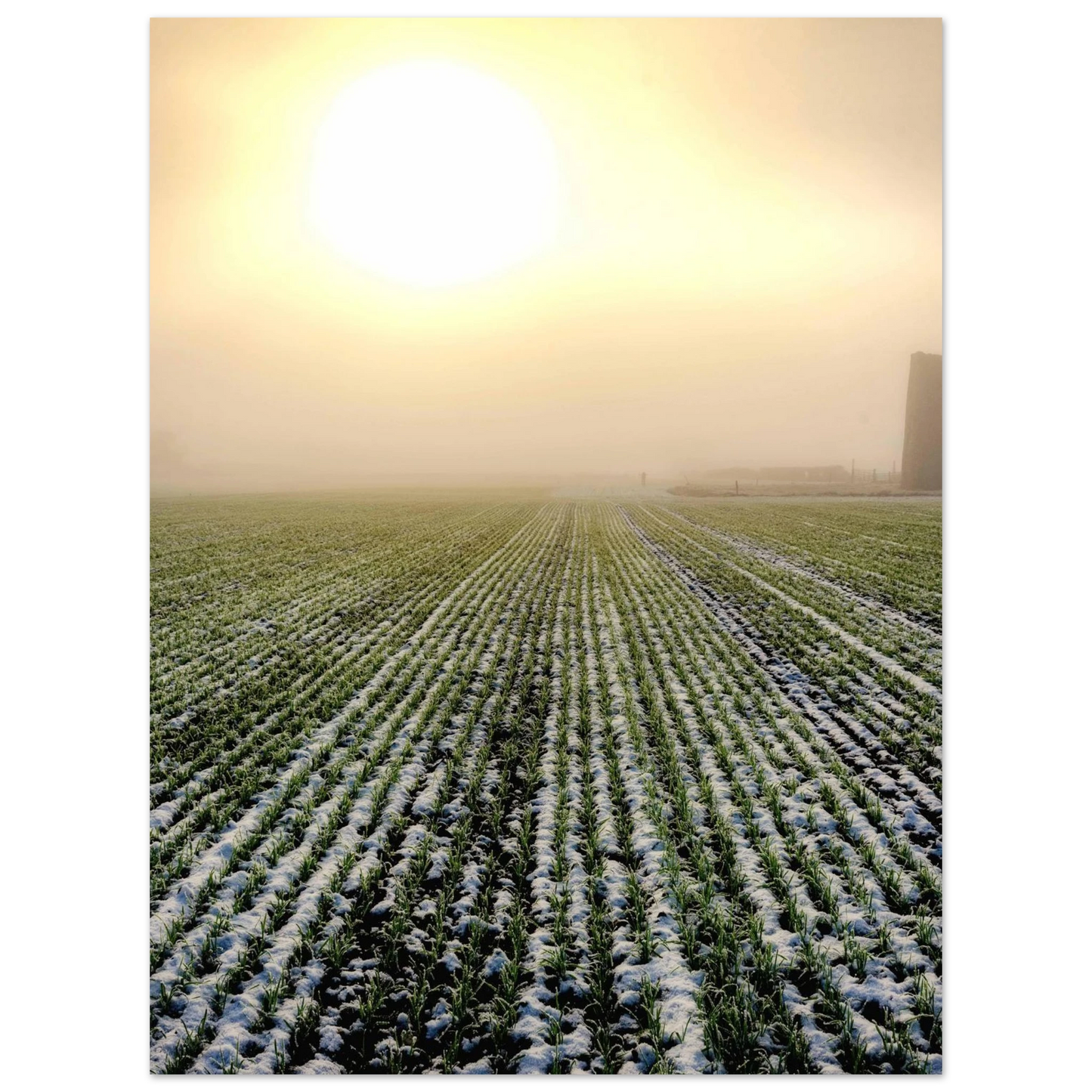 ea72b8ce-19b8-4ca0-ade8-2ee9a610b45a