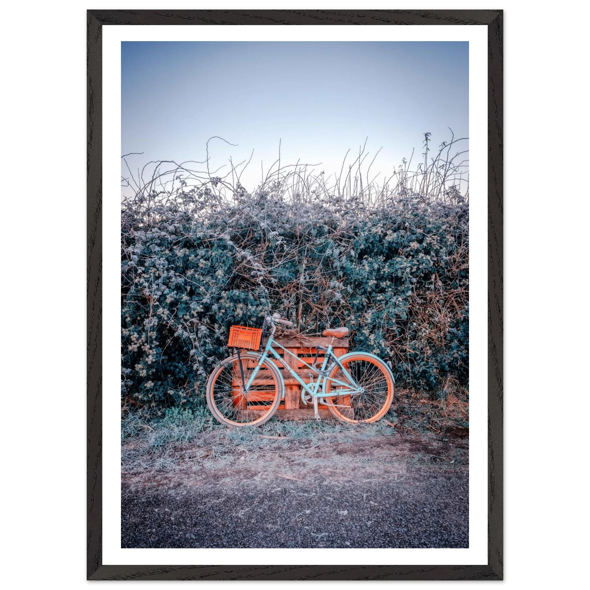 ea76461e-ebfb-4bc0-92b6-ed02eacd3076