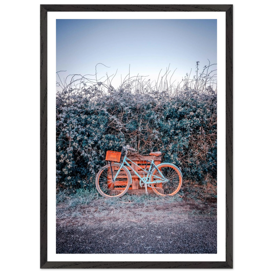 ea76461e-ebfb-4bc0-92b6-ed02eacd3076