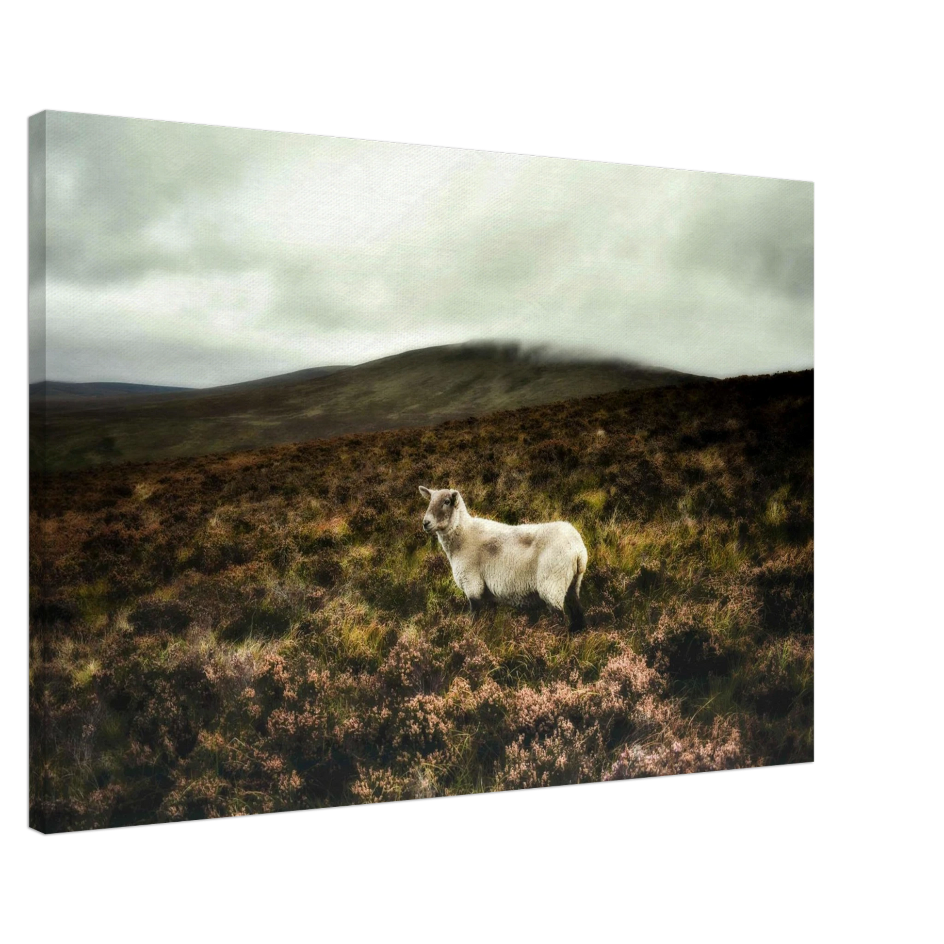 ea9d966c-f81e-41ba-8422-1691944cad63