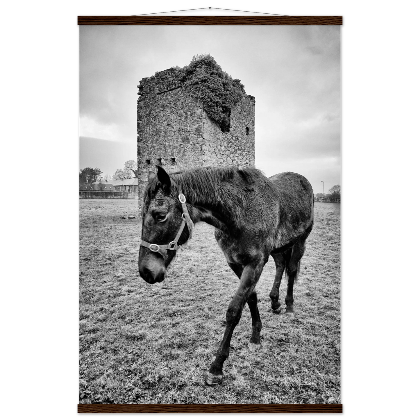 eb684e0d-5baf-4f6d-93ae-e14ca7989edf