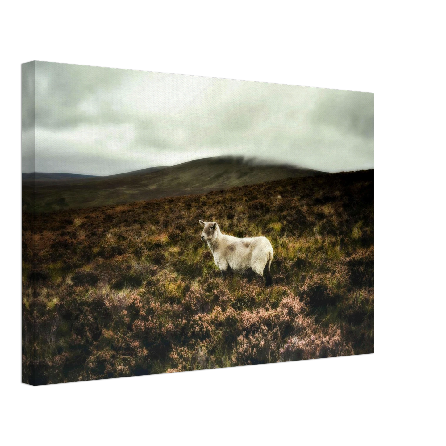 eb774758-5f68-40ca-9f42-ba1856a0bab6