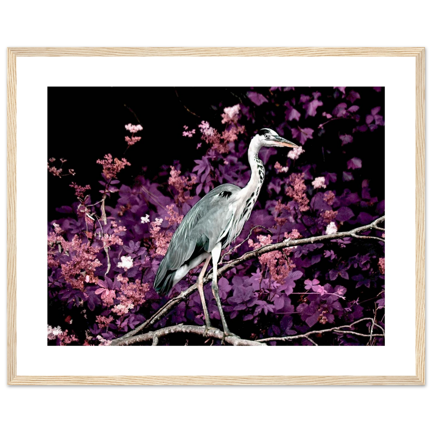 eb7d7be4-79c4-4e3f-9c1b-1229dac8d611