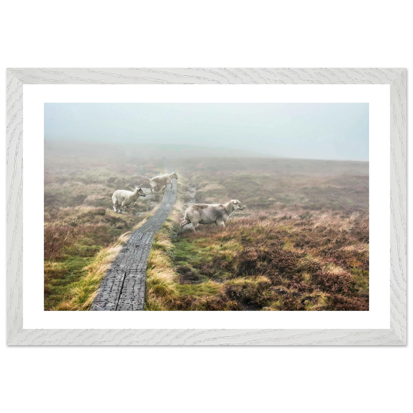 eb8e3ddf-02bc-4fde-a06a-eeb8b9213ff2