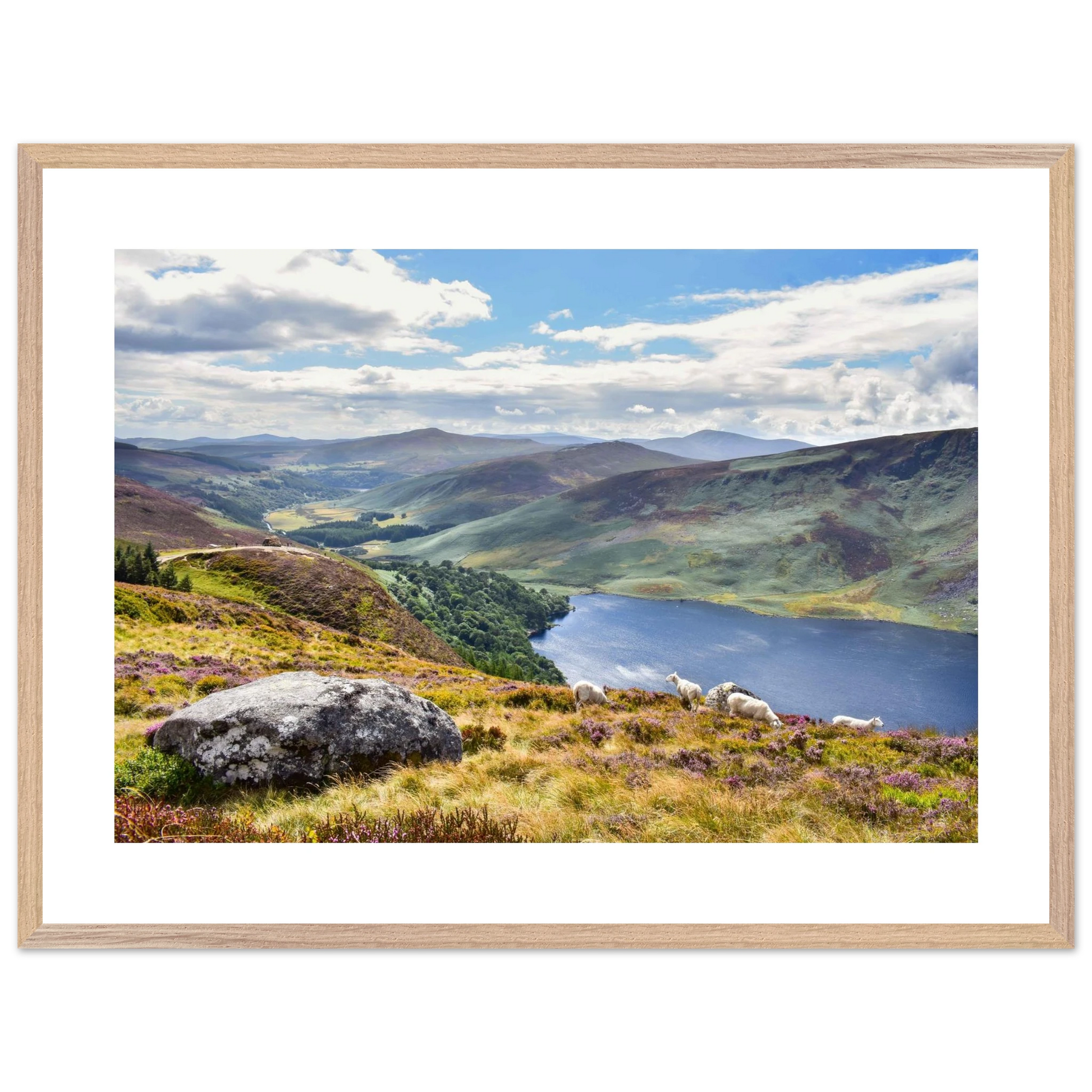 ebc81e32-4916-4fc3-9b00-30ea92469ef3