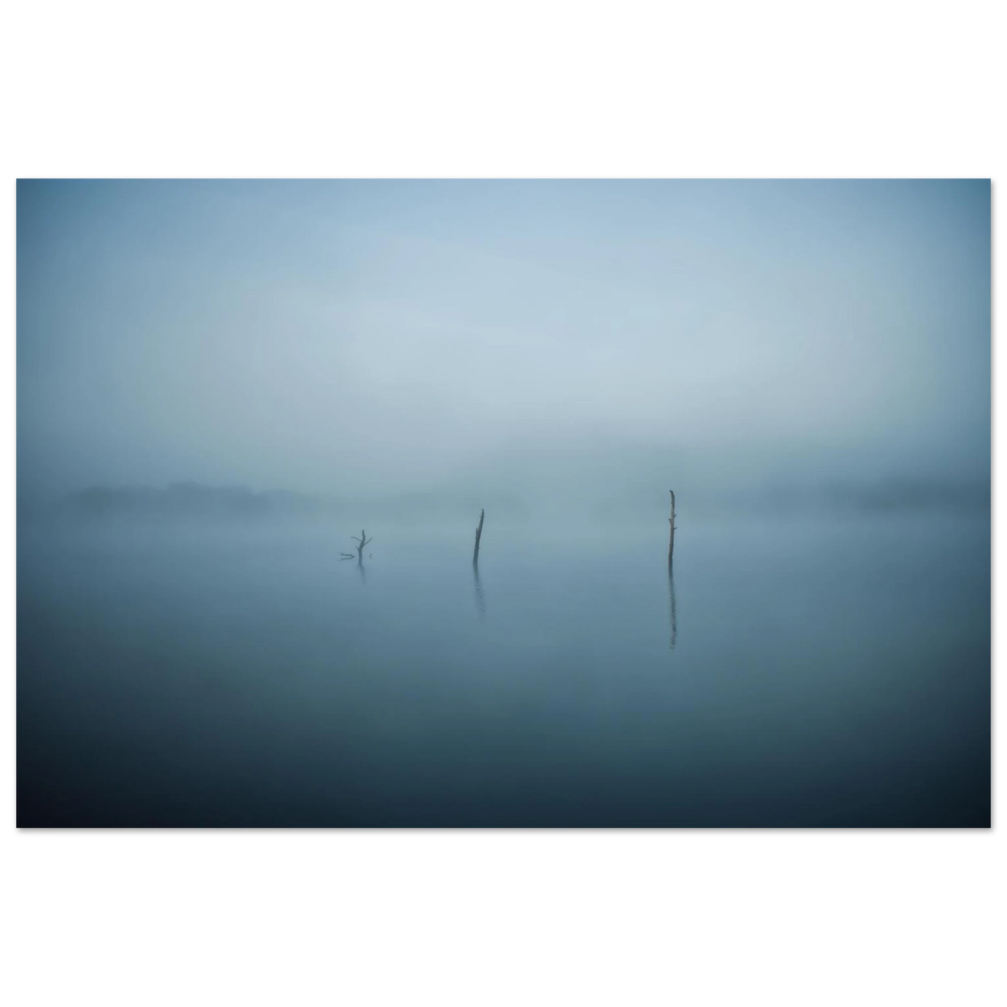 ec2f5db4-3382-4e79-b88a-cf3023925fe1