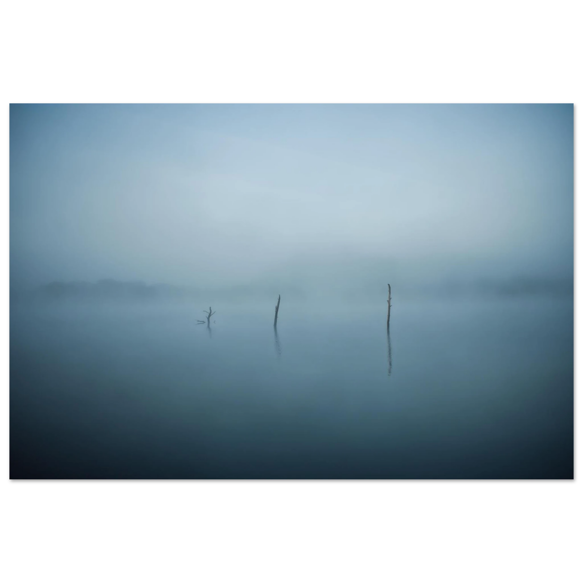 ec2f5db4-3382-4e79-b88a-cf3023925fe1