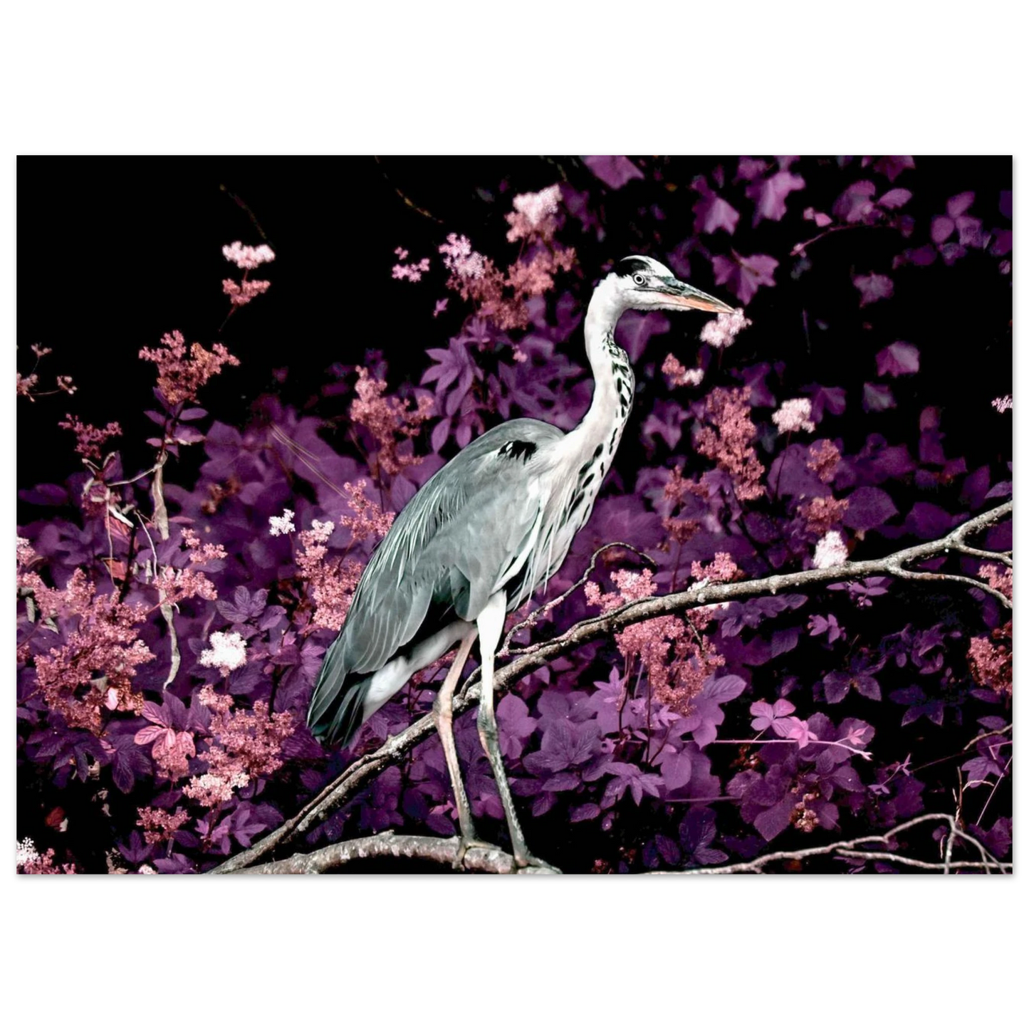 ec3a21b1-b04c-440e-b3e9-fc30798f0574