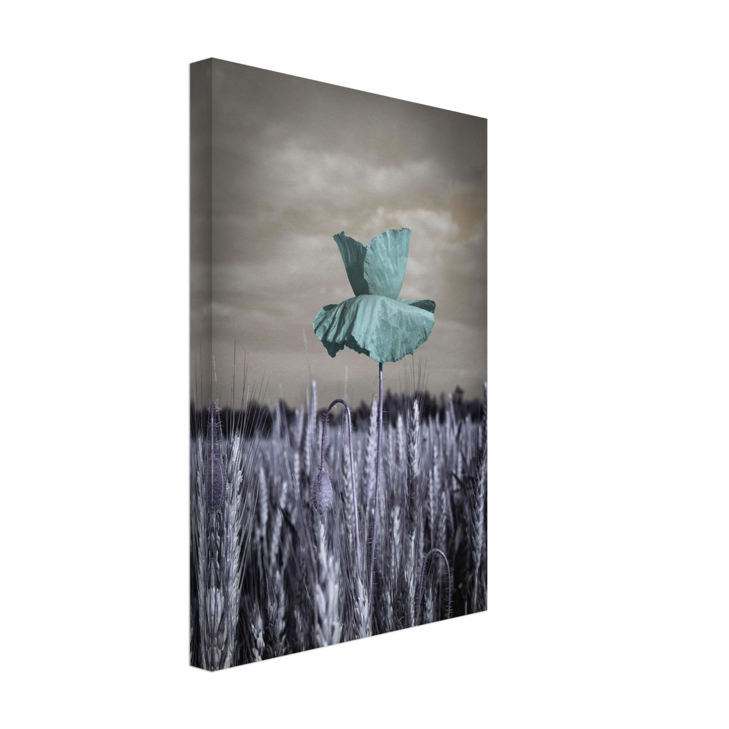 ec48d5a0-ae3a-41b2-97f9-44894e4366f6