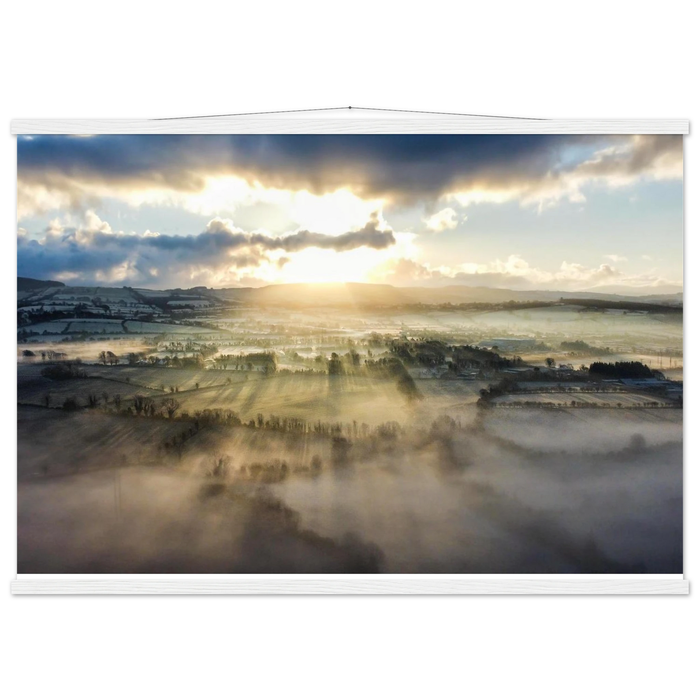 ec8c41fe-b328-4406-b9fd-3444c7660836