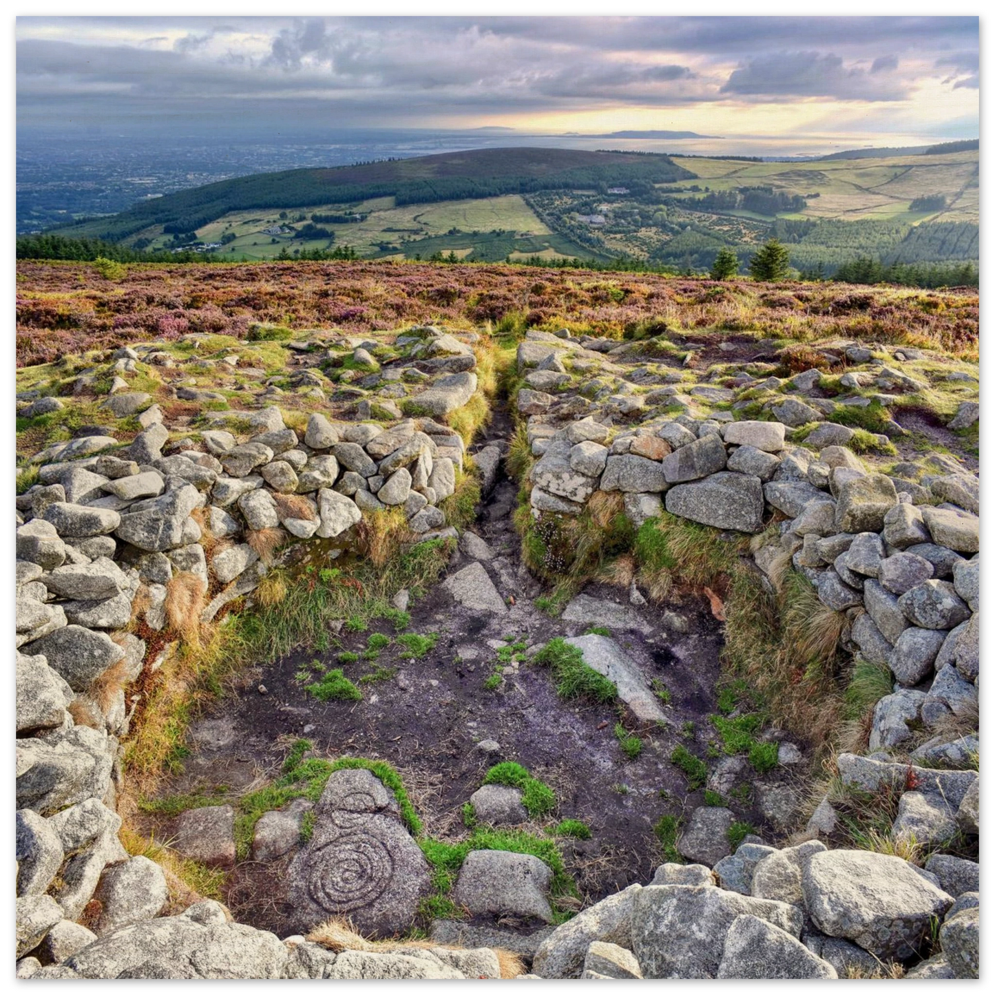 ec8cf9eb-9a9a-48df-95d1-349b61027ef9