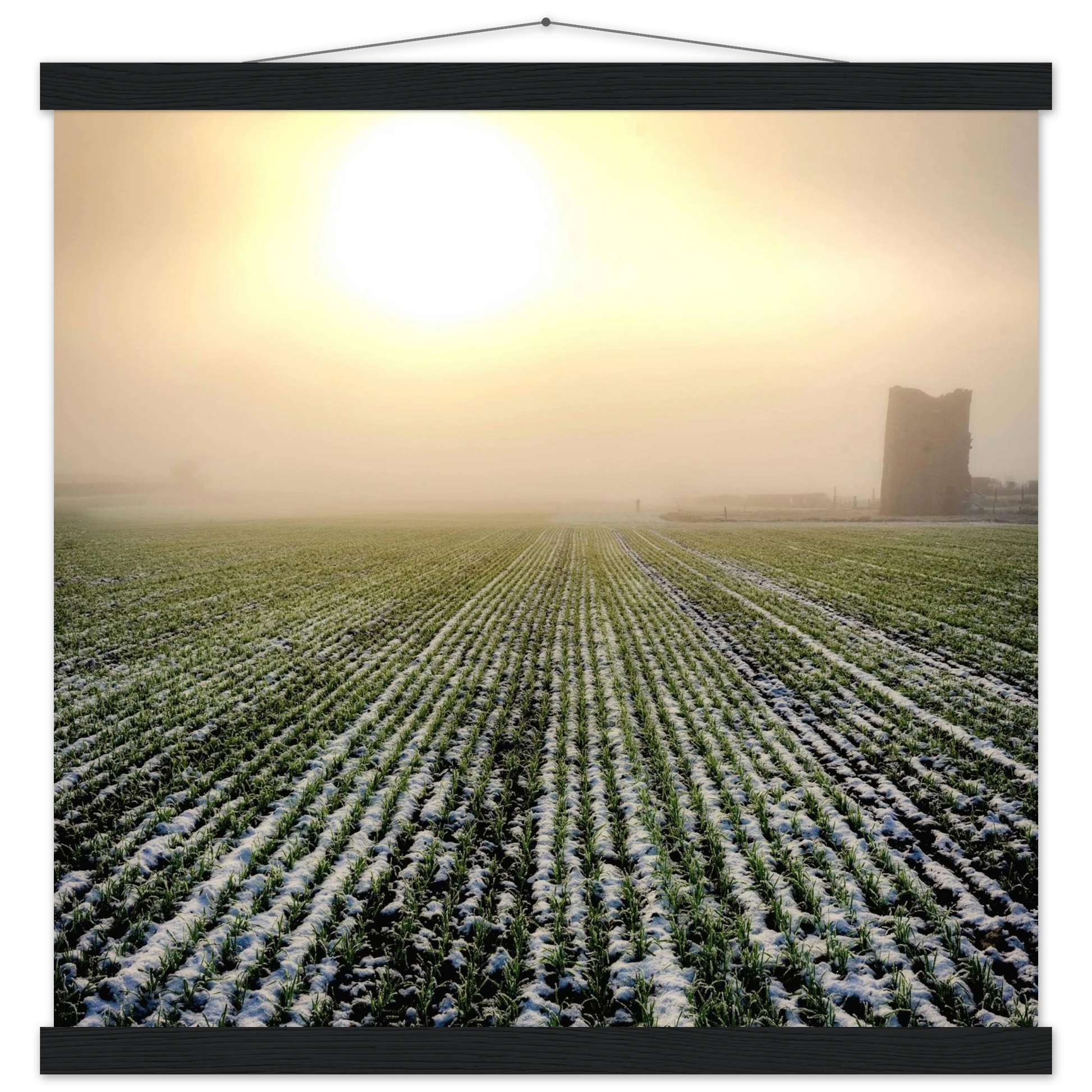 eca5e714-4a94-4782-9d6e-3dbb8393cc3d