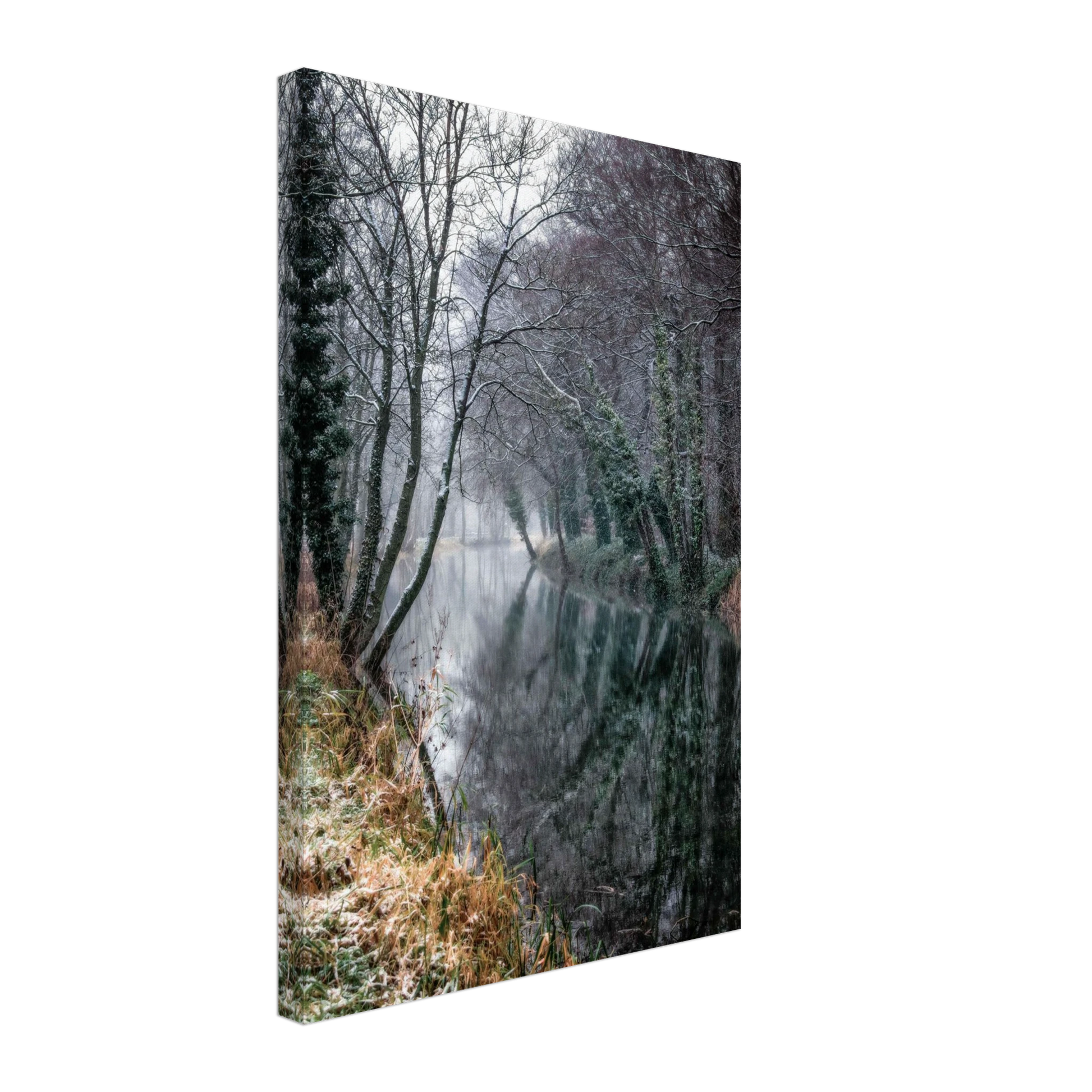 ecc13935-1b8d-4057-a415-b59943d7b5d9