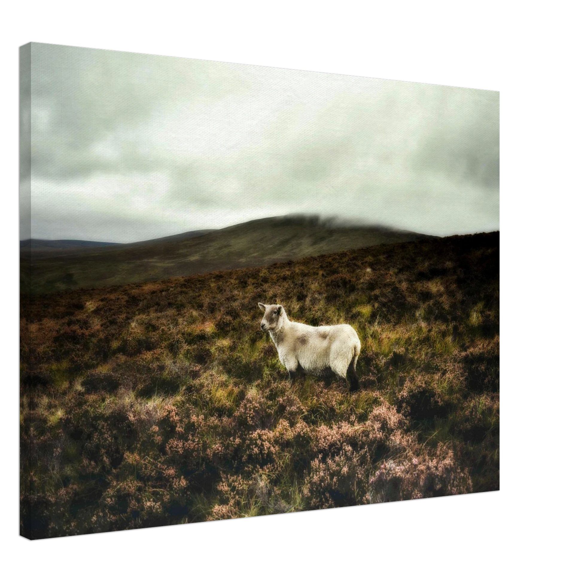 ed224420-c4ef-4d8b-8a2a-0df8d8ab1813