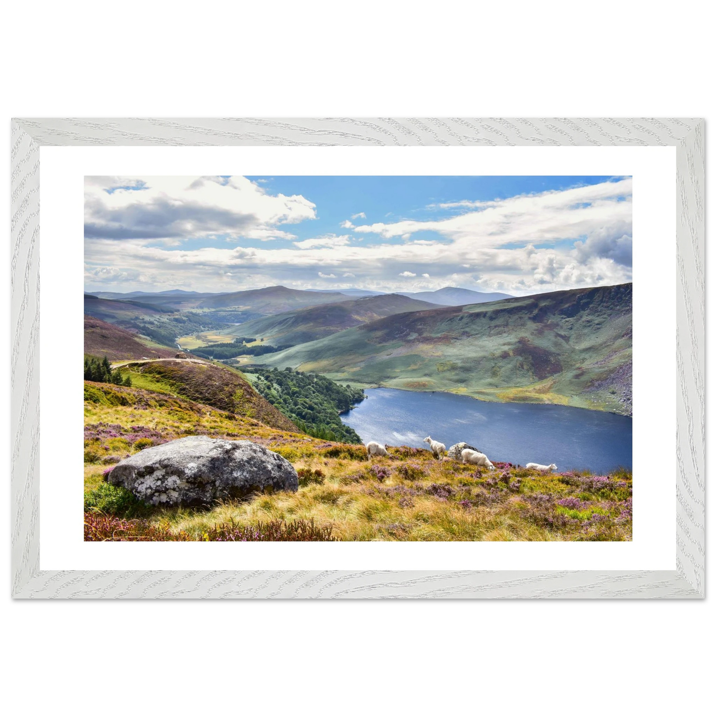 ed7d347a-0f37-4e51-a04e-f0a2509a7d57