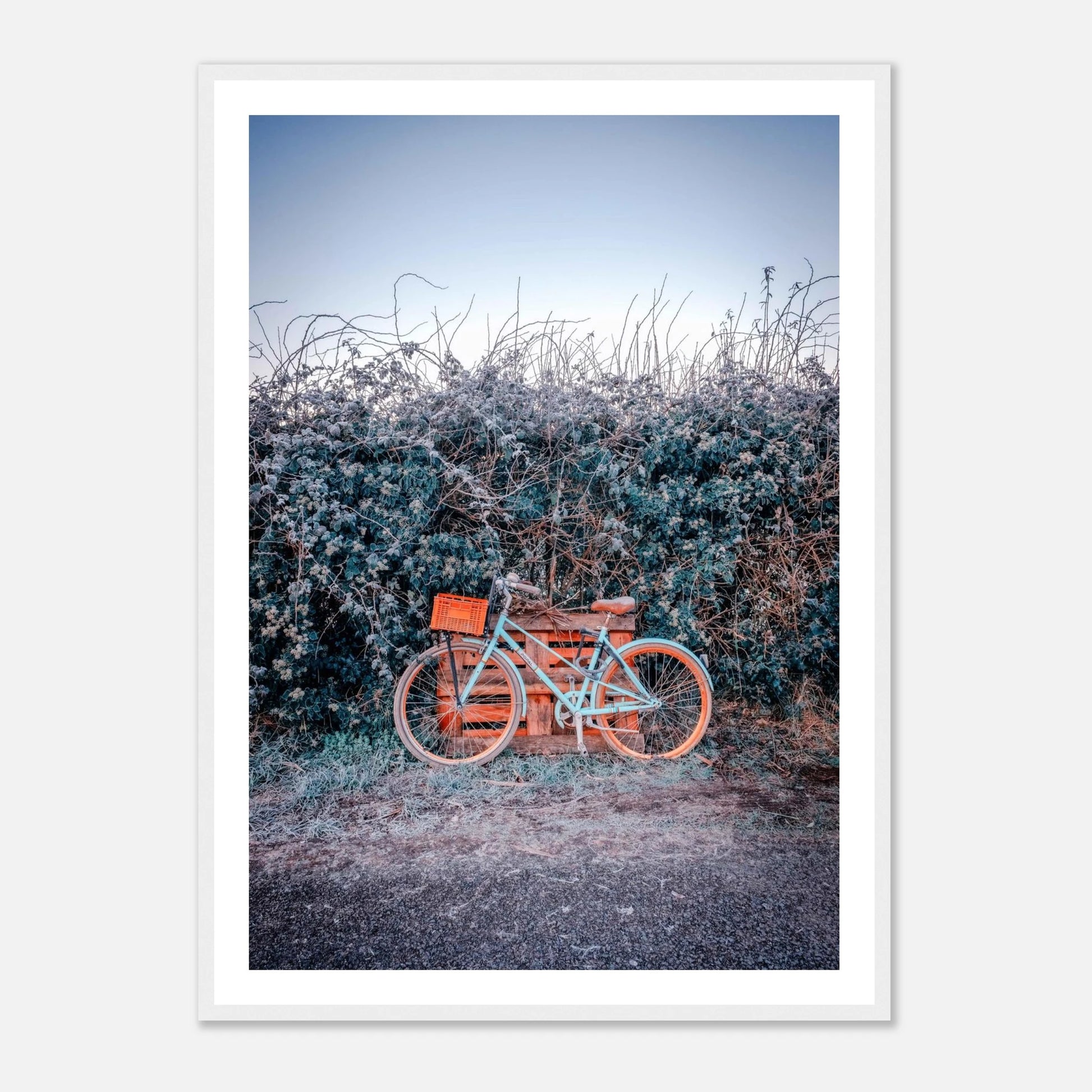 ed80f7a6-865e-42d1-b999-46c6d04dcf76