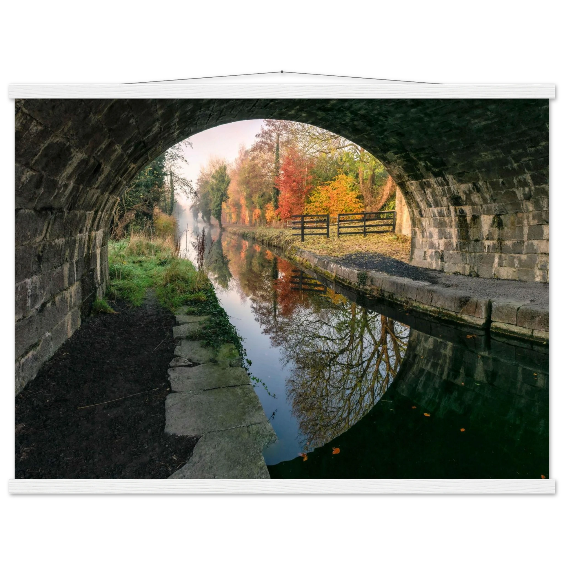 ed8f23a1-bb25-4687-bc02-5d83422d3fd8