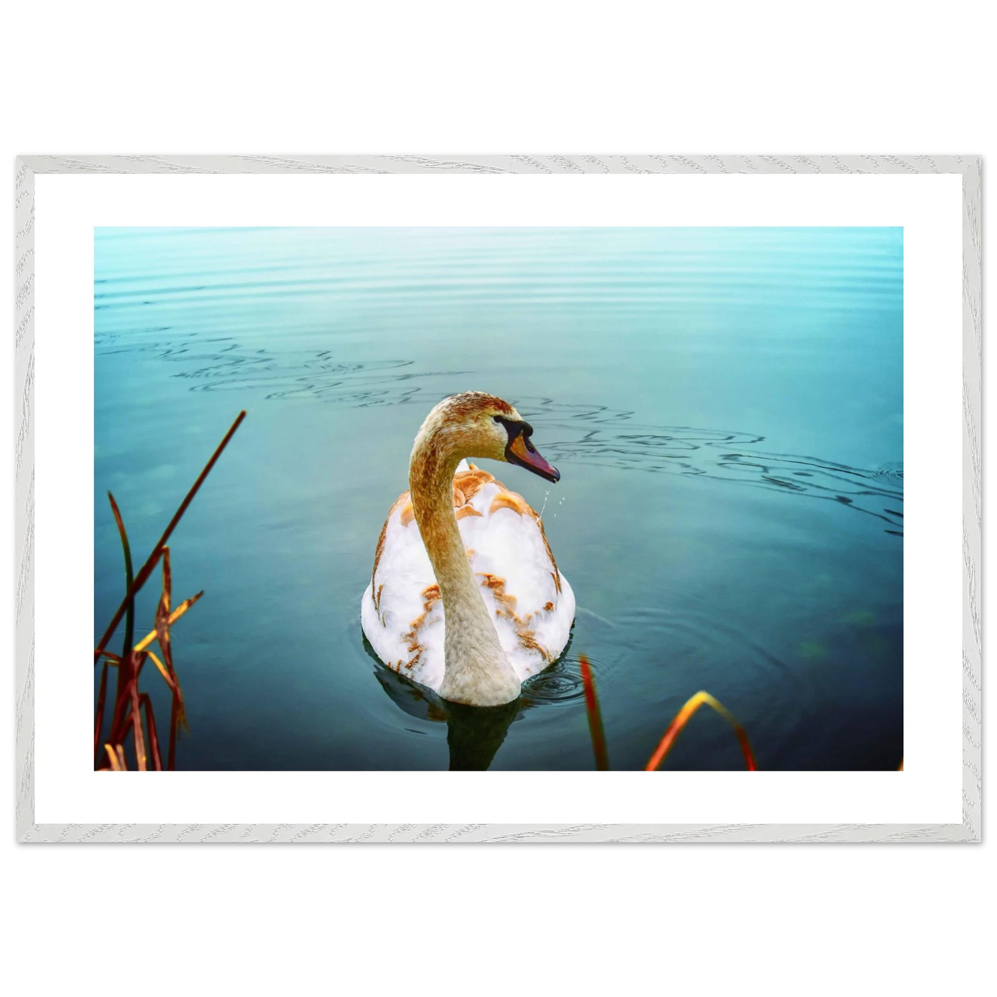 edf27241-ce3a-42ff-8634-7679c039ccfe