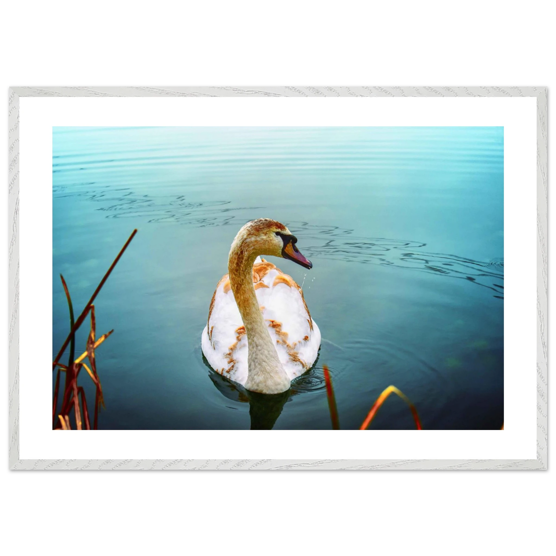 edf27241-ce3a-42ff-8634-7679c039ccfe