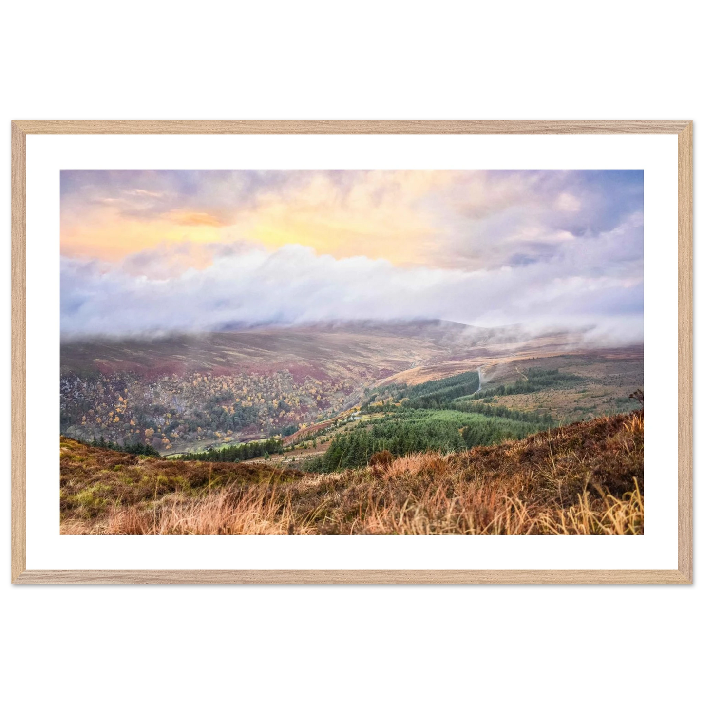 edf28b56-1139-40bd-abdd-93cbead72e2d