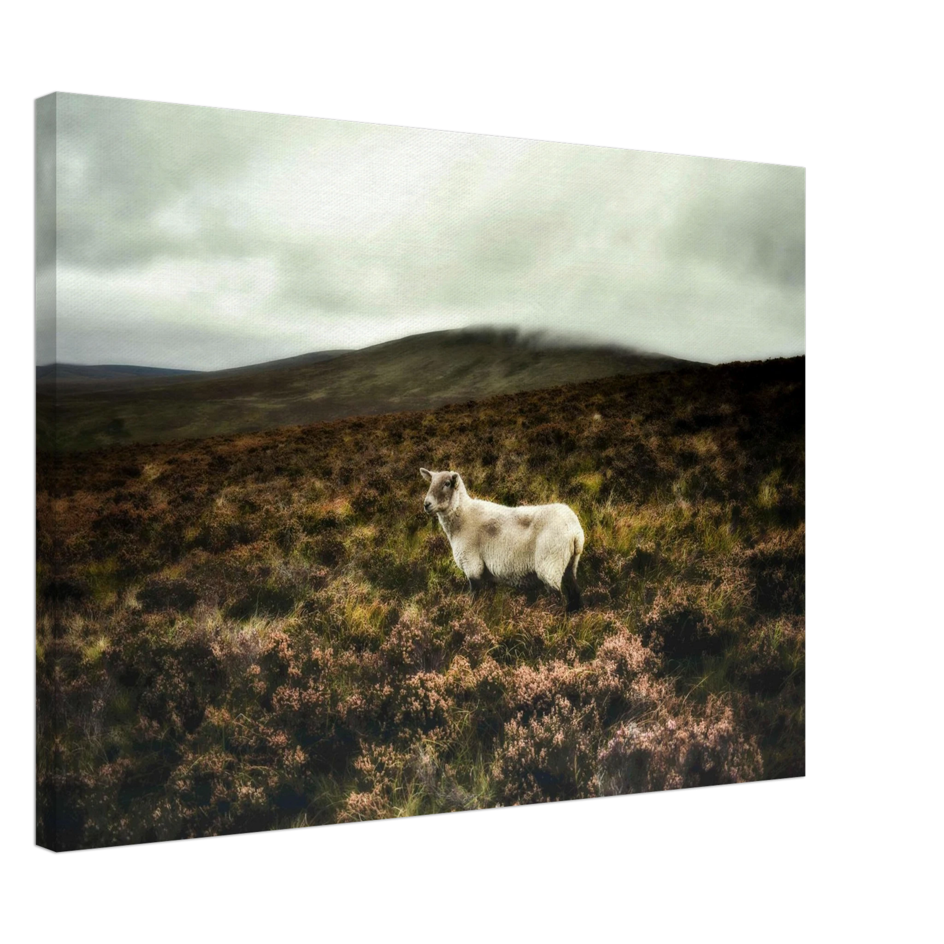 ee1e99b1-326f-46ba-a236-6973817a33b7