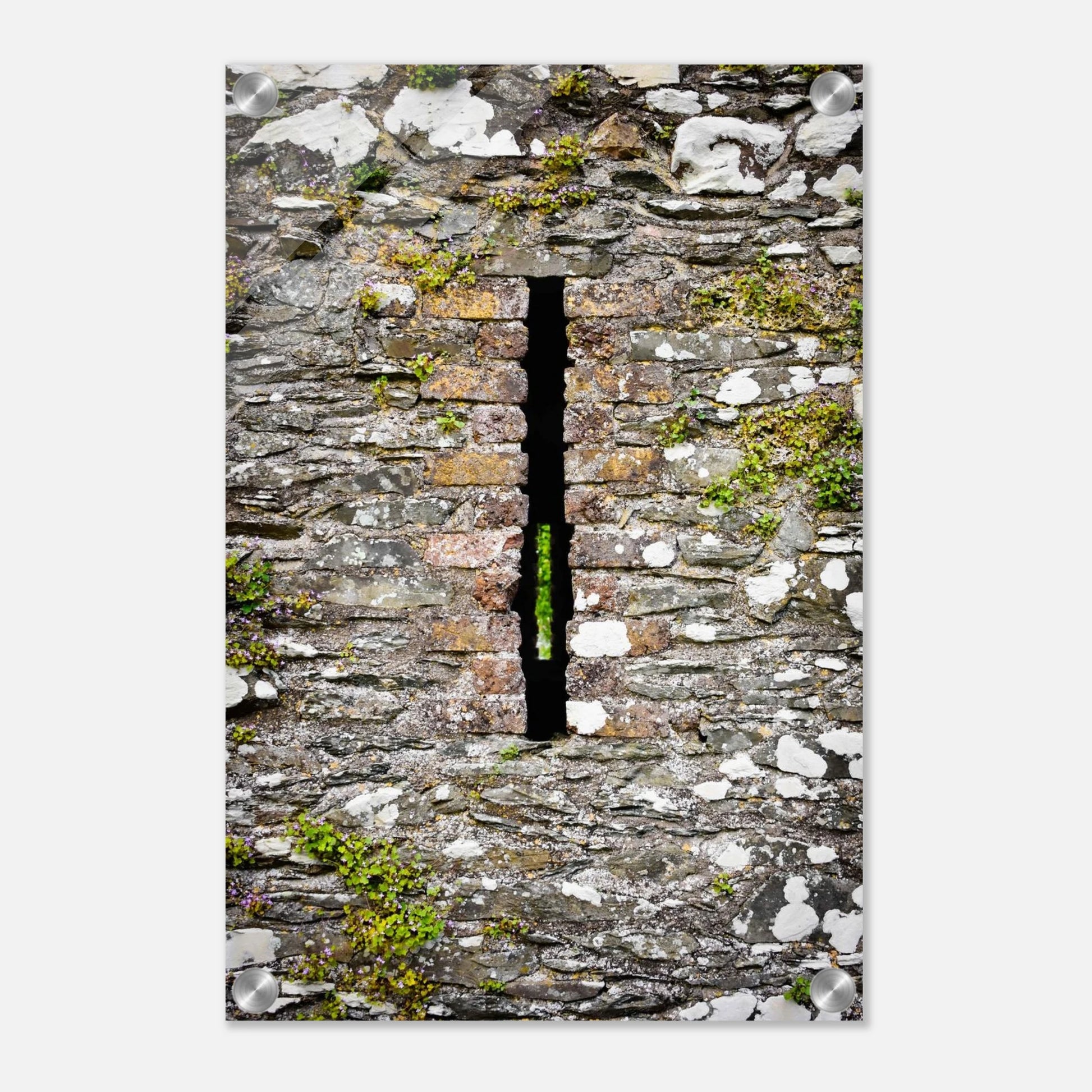 ee2ca0b7-aae0-485f-87c8-2d19bb0dfb90