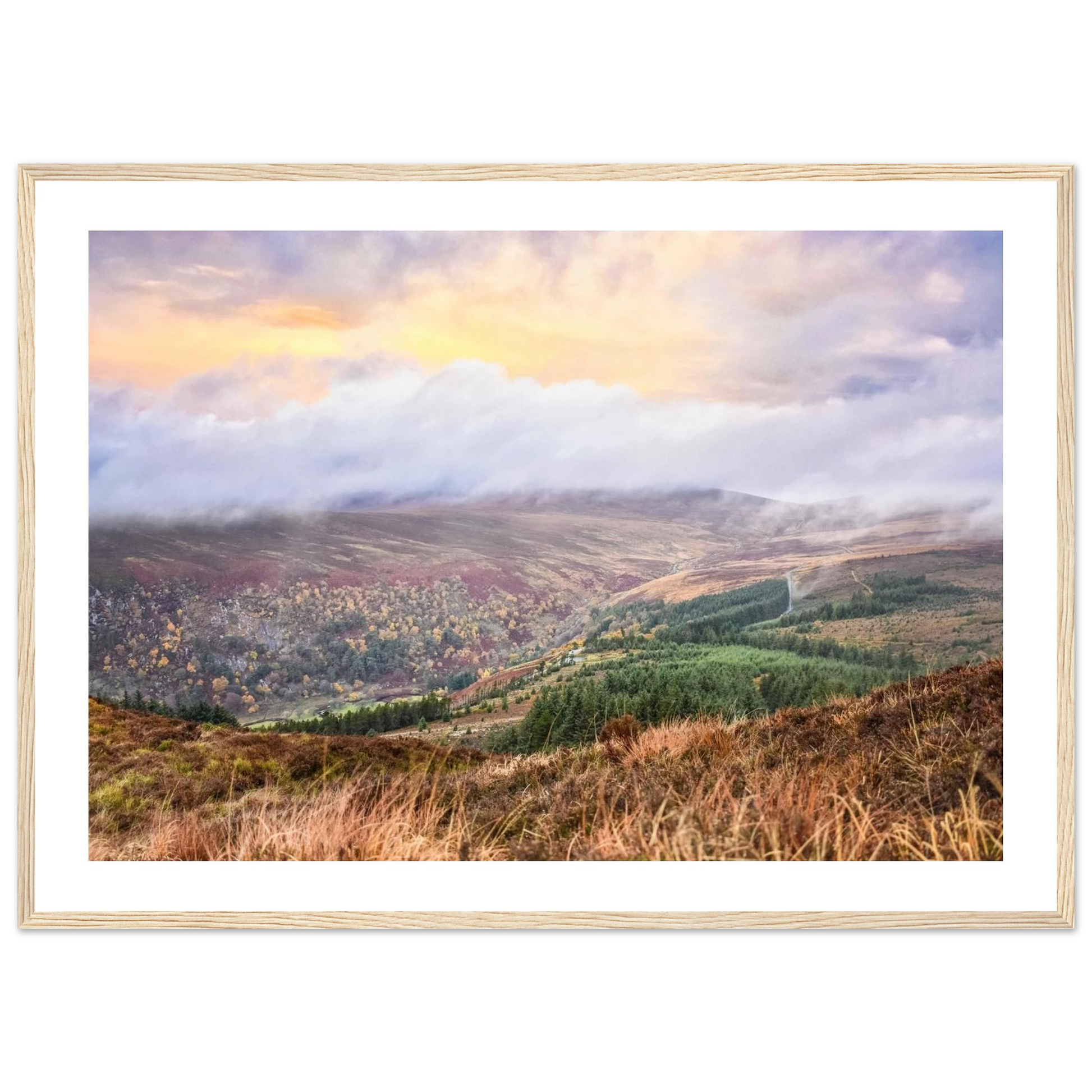 ee910eec-0bec-4e6a-8eb6-f3f2bd2b7b03