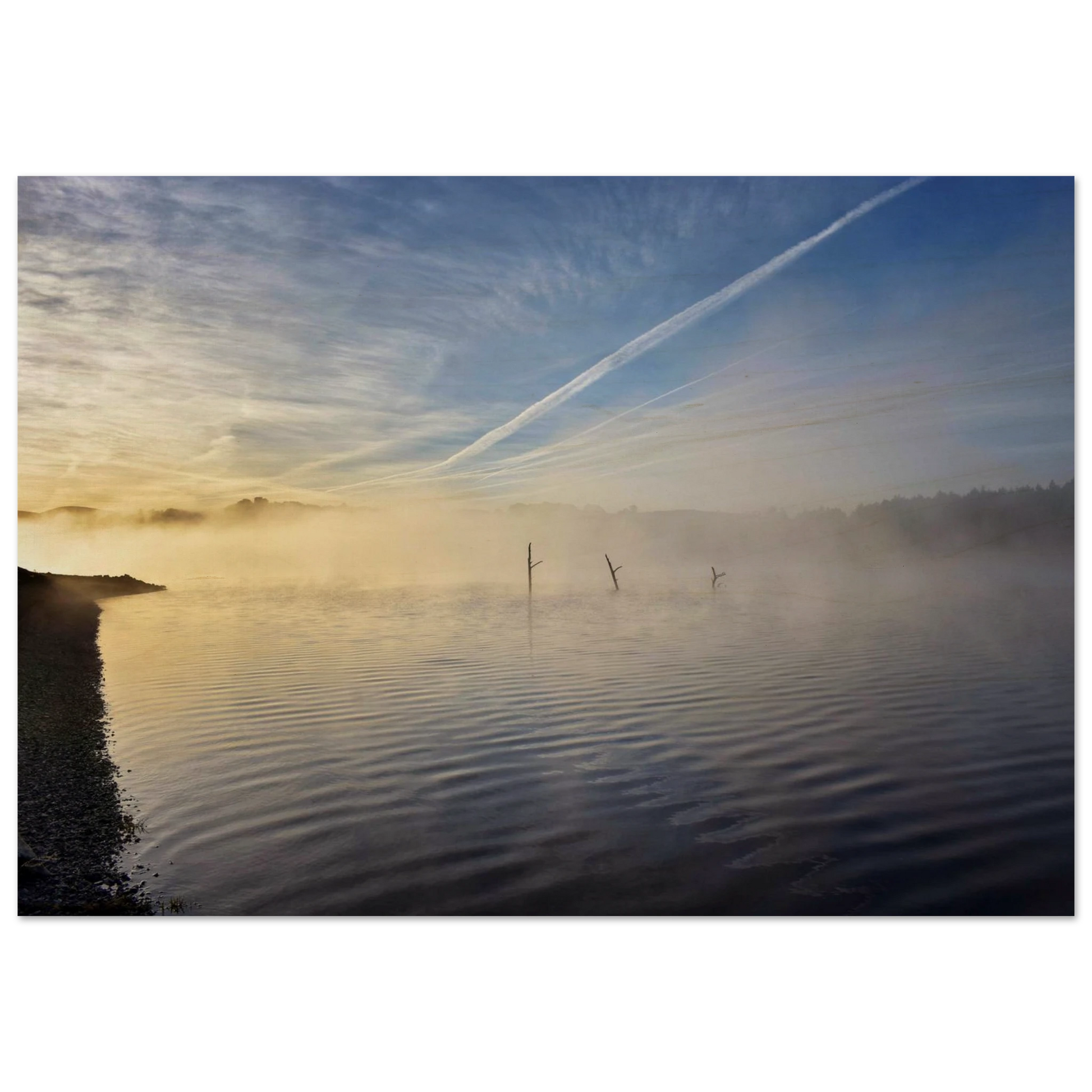 eea59e56-b575-4a4c-9fea-ae8b491508ed