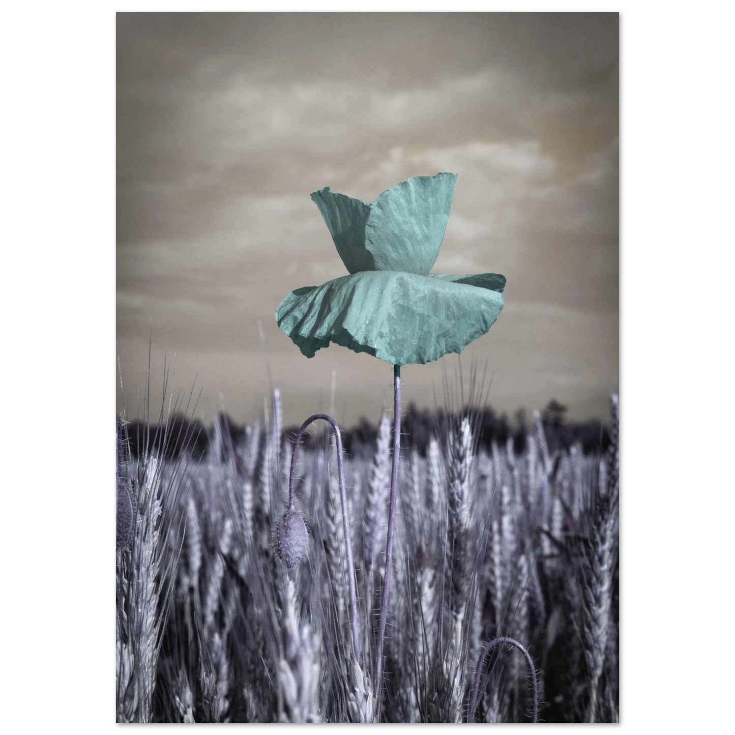 eecb9c0d-018c-486a-8bce-ca3e50c362f9