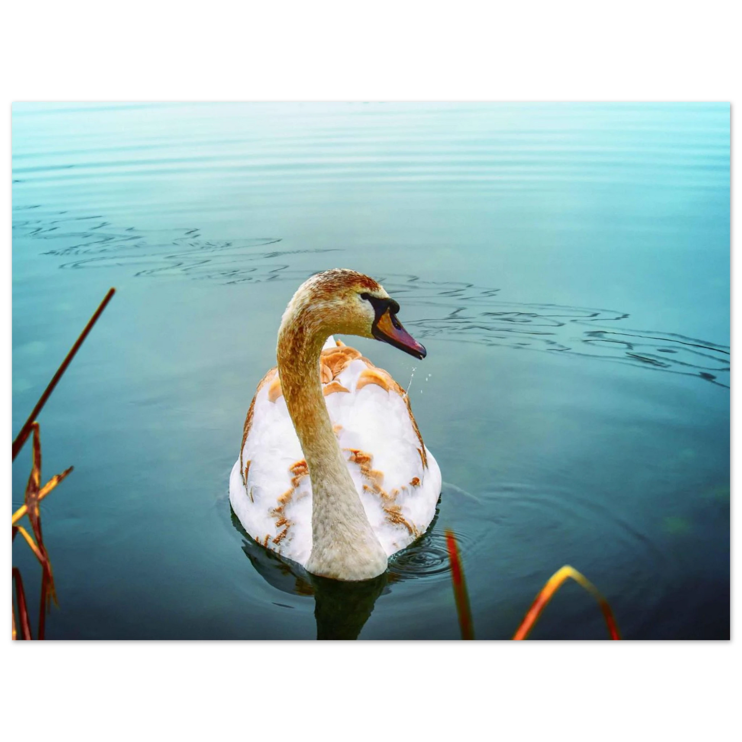 ef04e1c1-6a3c-47fc-8ea7-a5bd7fbebb9b