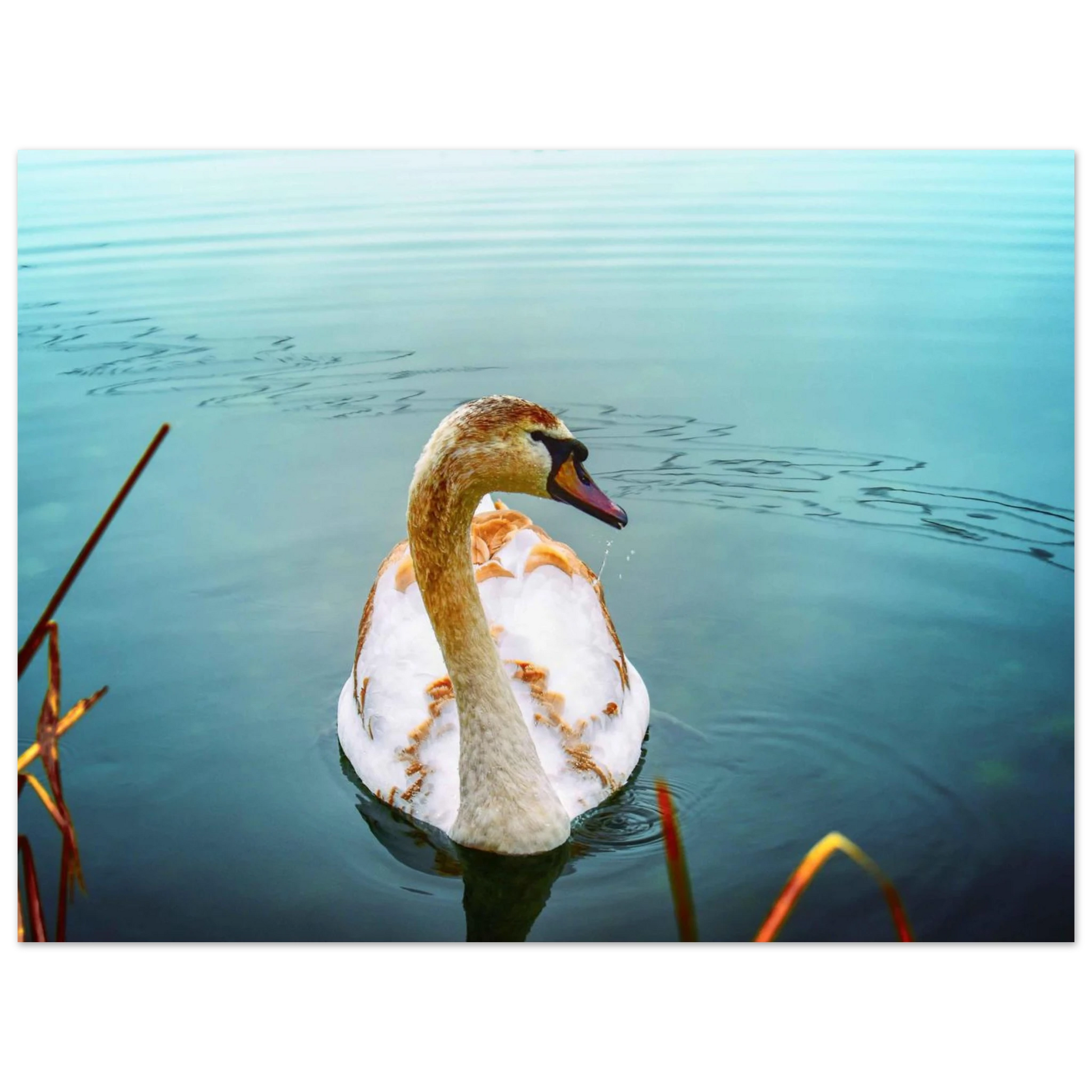 ef04e1c1-6a3c-47fc-8ea7-a5bd7fbebb9b