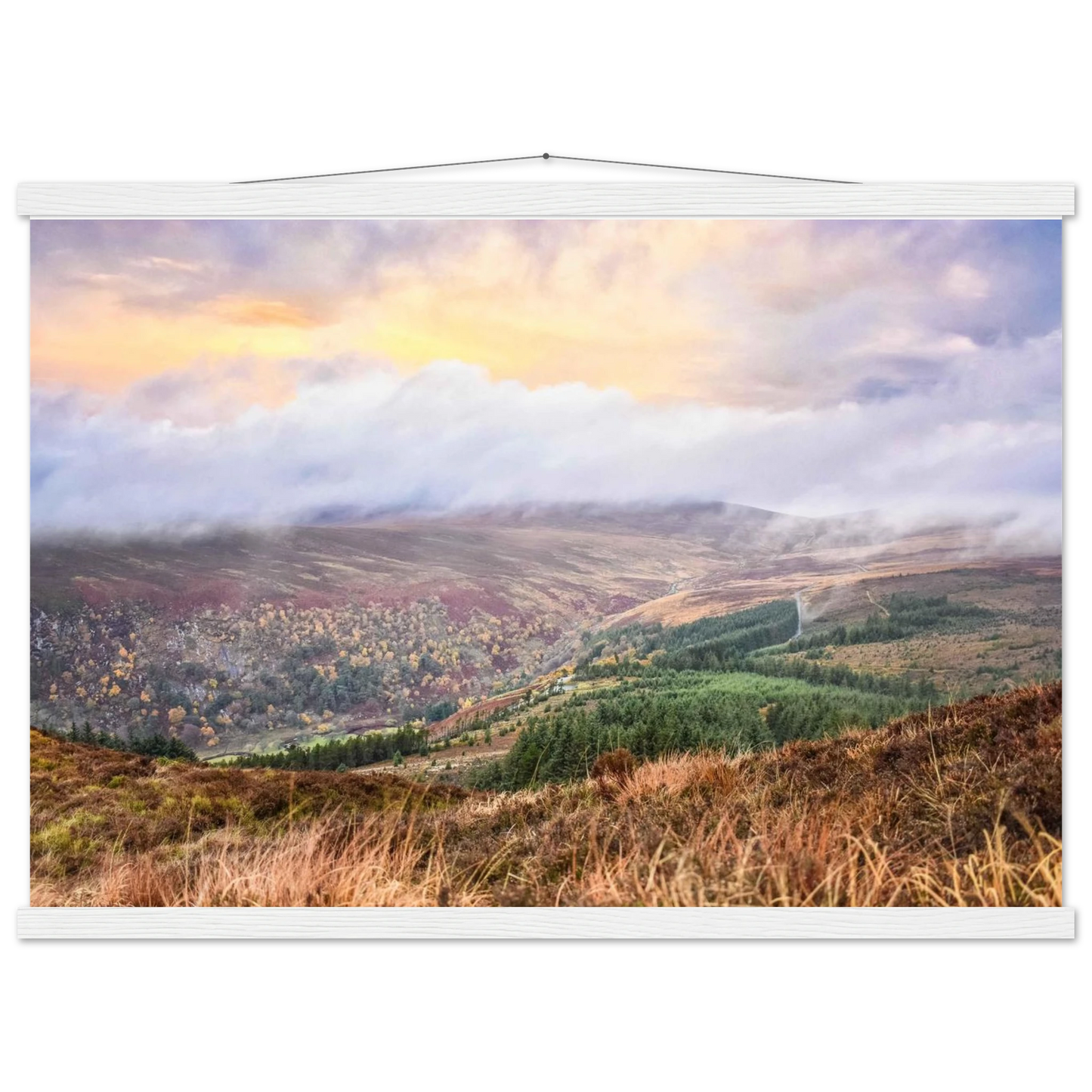 ef61d04c-f3f7-44b1-a5ae-4dcce03fa12d