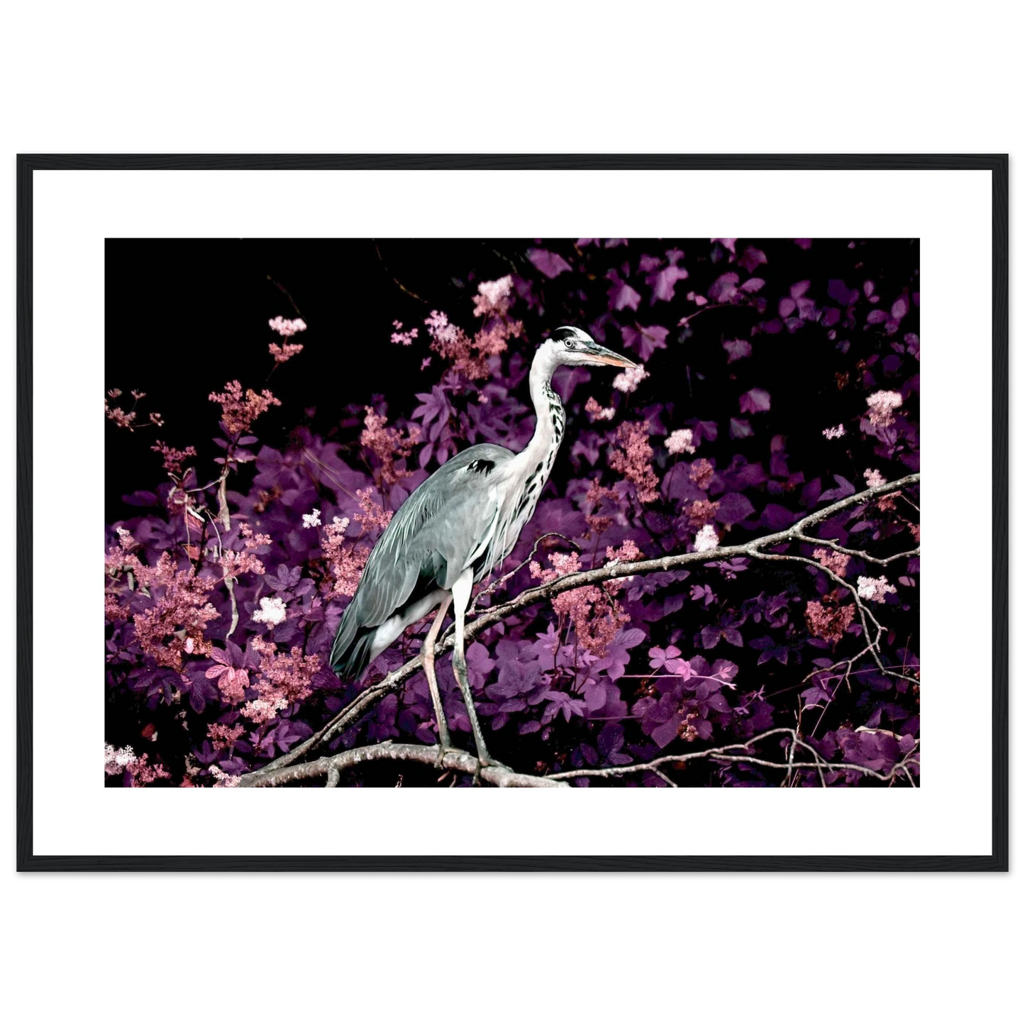 efead462-a6c4-4788-9424-8f3a80f5759d