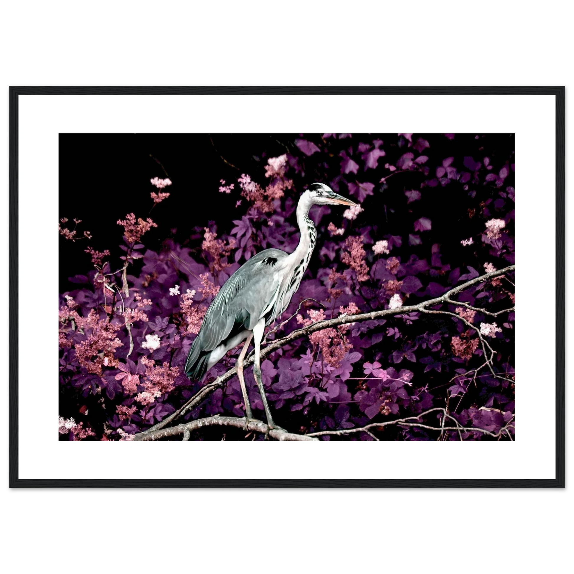 efead462-a6c4-4788-9424-8f3a80f5759d