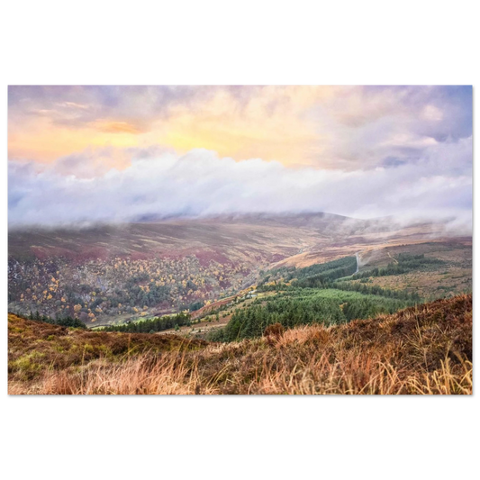 effe1282-d722-4459-ba11-f8c154ddb71b