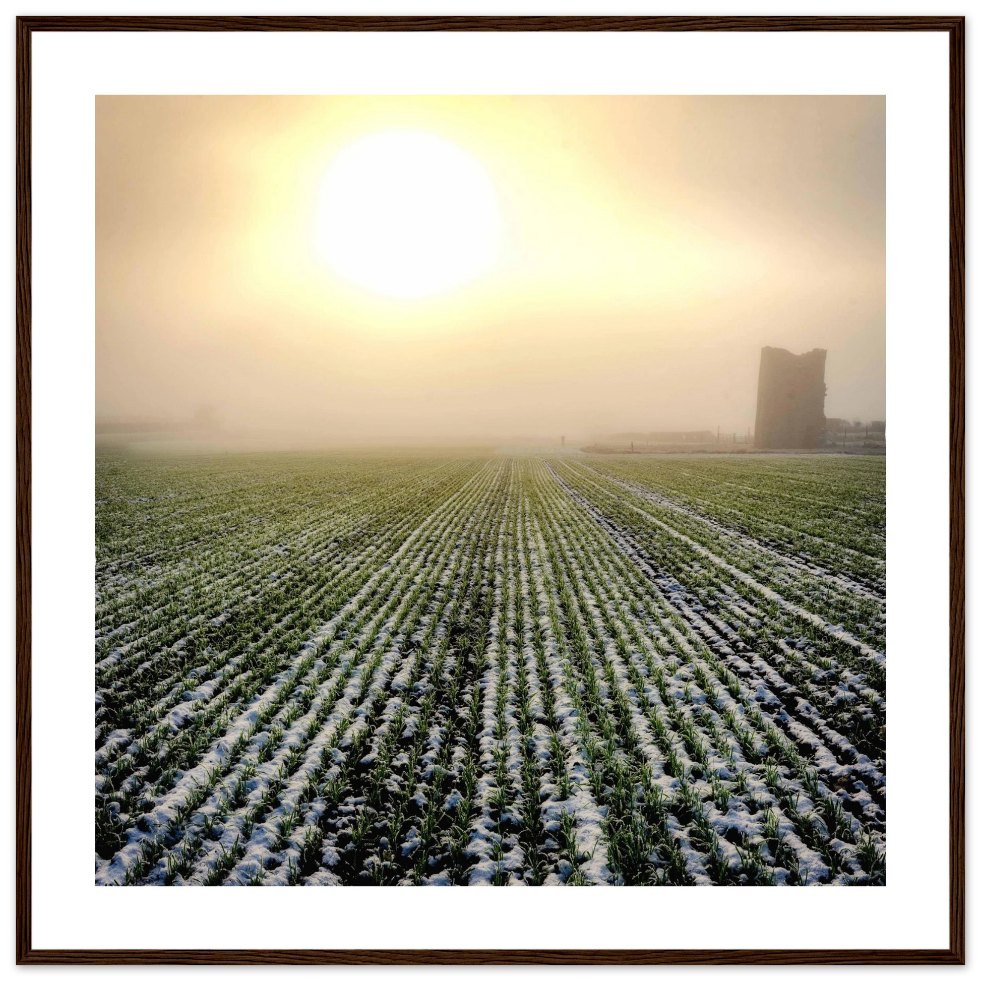 f04cf5aa-69da-413f-83d1-14a6ba26f006