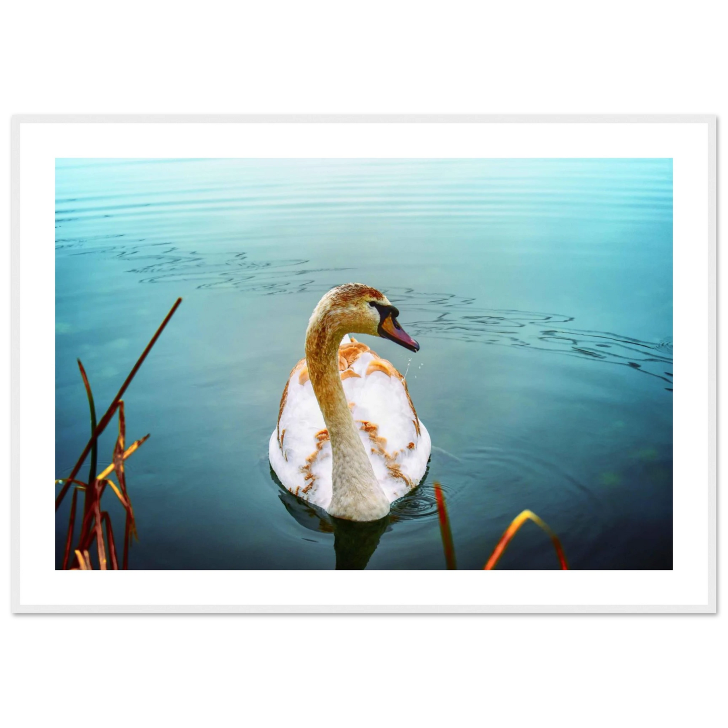 f052b39b-d6ba-4557-80c7-8bddb6943eef