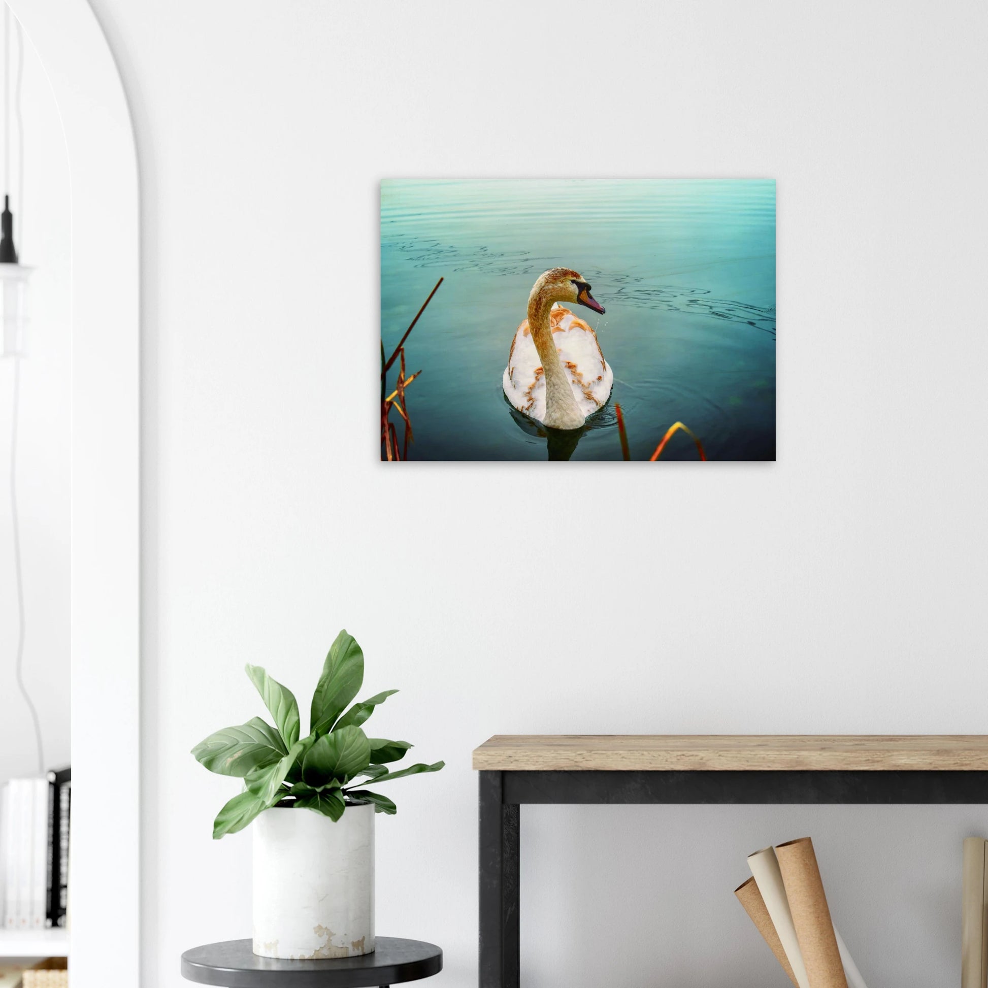 f06e4aae-4e74-43e4-8583-654499762fd7