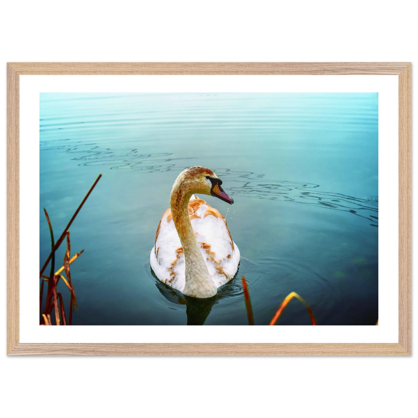 f0c1a35f-ad55-48b6-b07b-02baf46d6a49