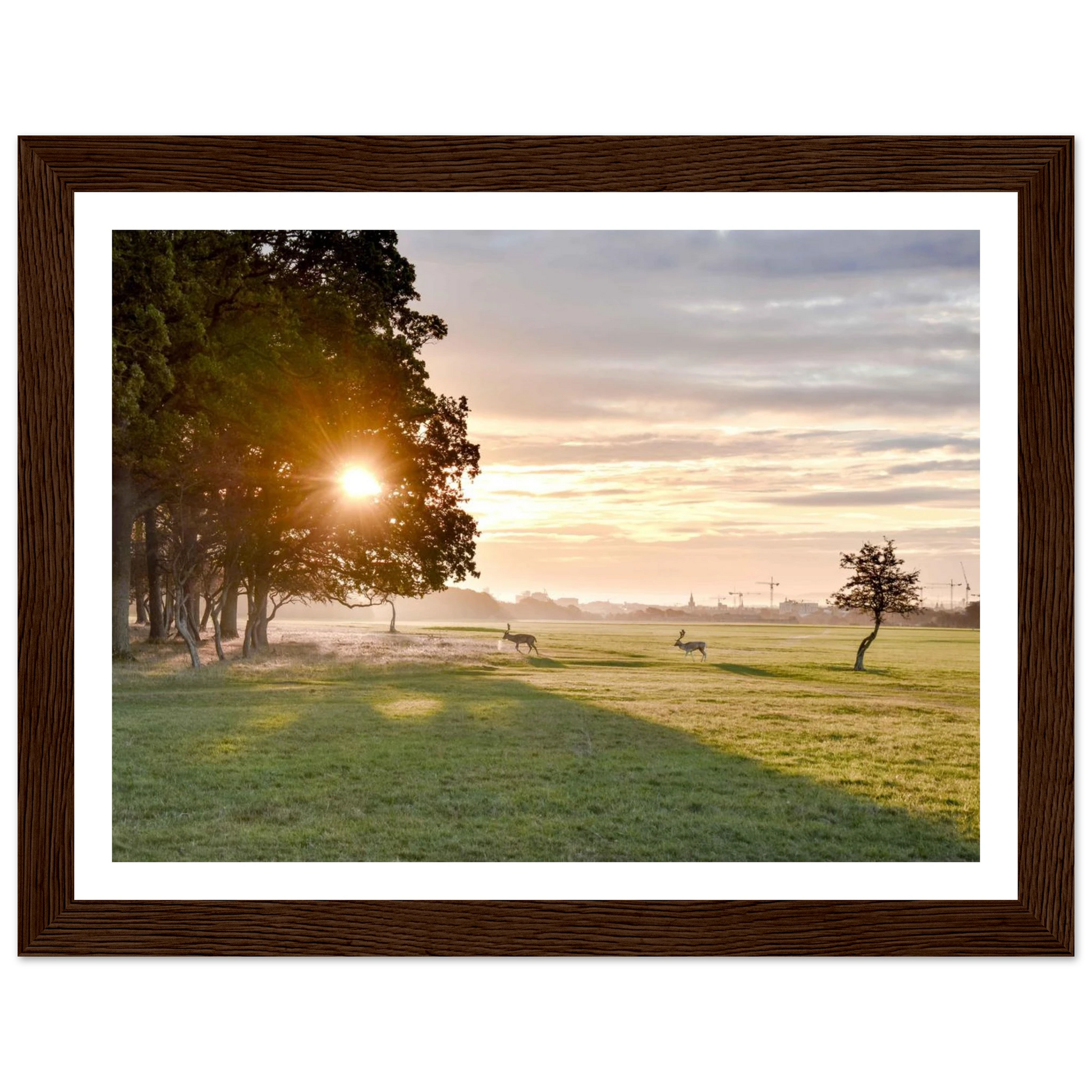 f0cf949e-e3a9-4098-9ff0-c2c958540fcf