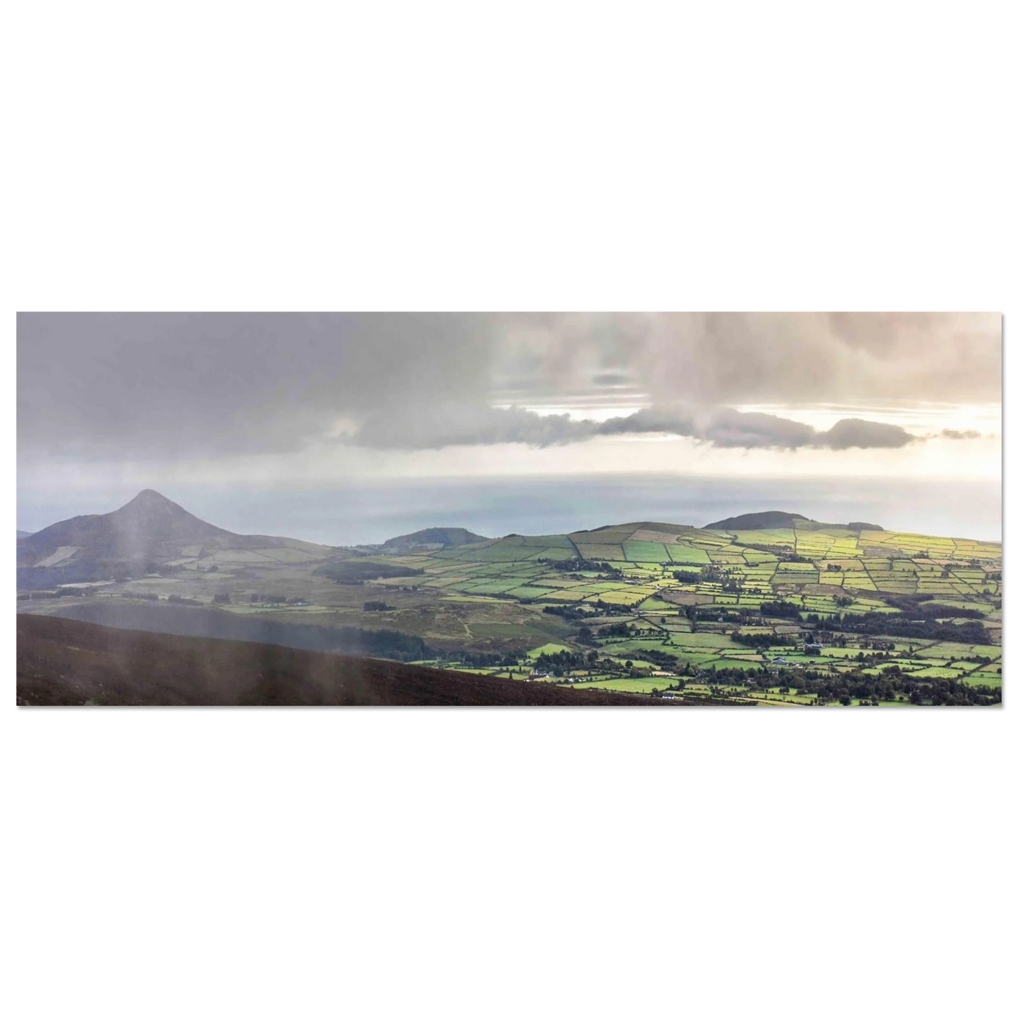 f0d46ac0-07a5-4c07-8dba-b7910feb669a