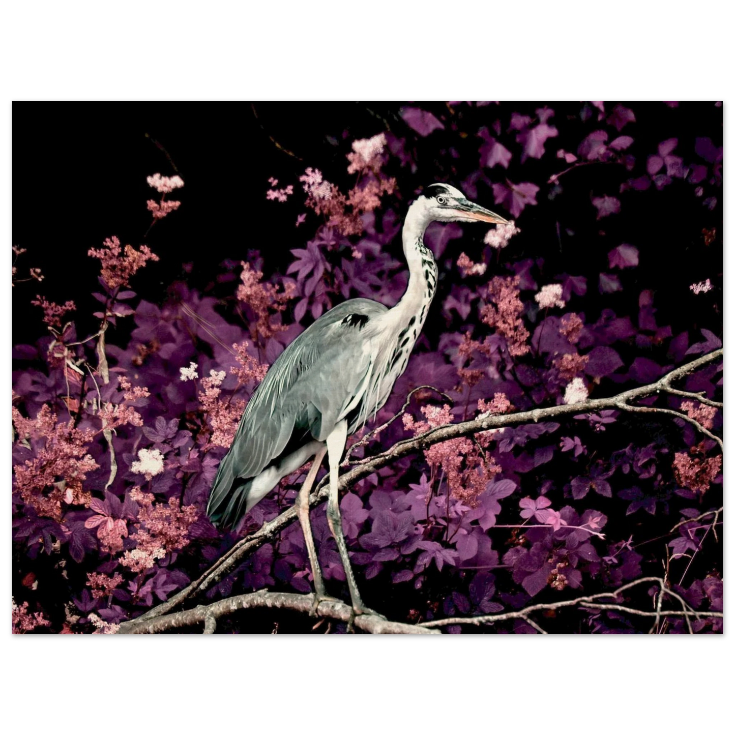 f0e0dd06-187a-46b8-a7ae-be7e29ae9b4b