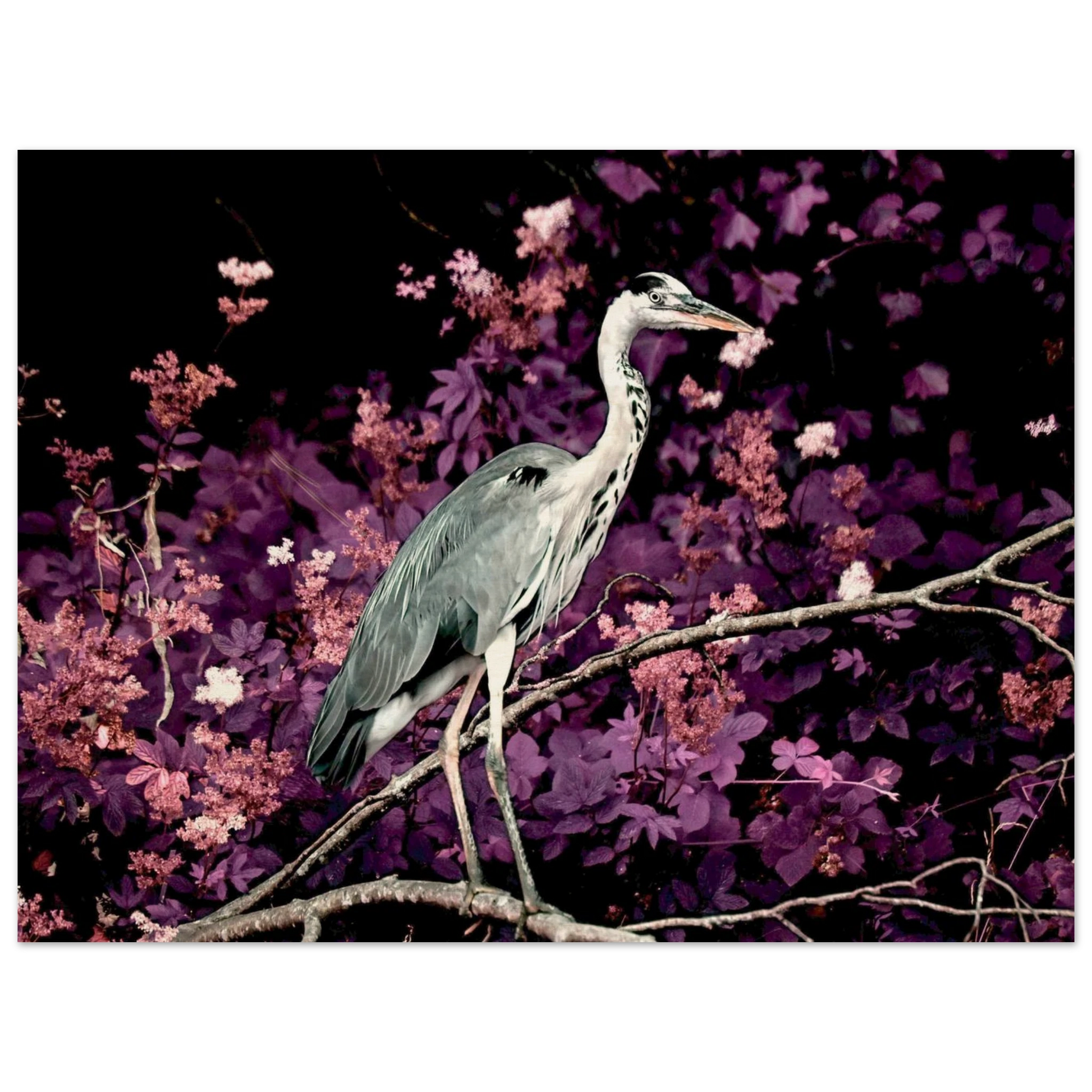 f0e0dd06-187a-46b8-a7ae-be7e29ae9b4b