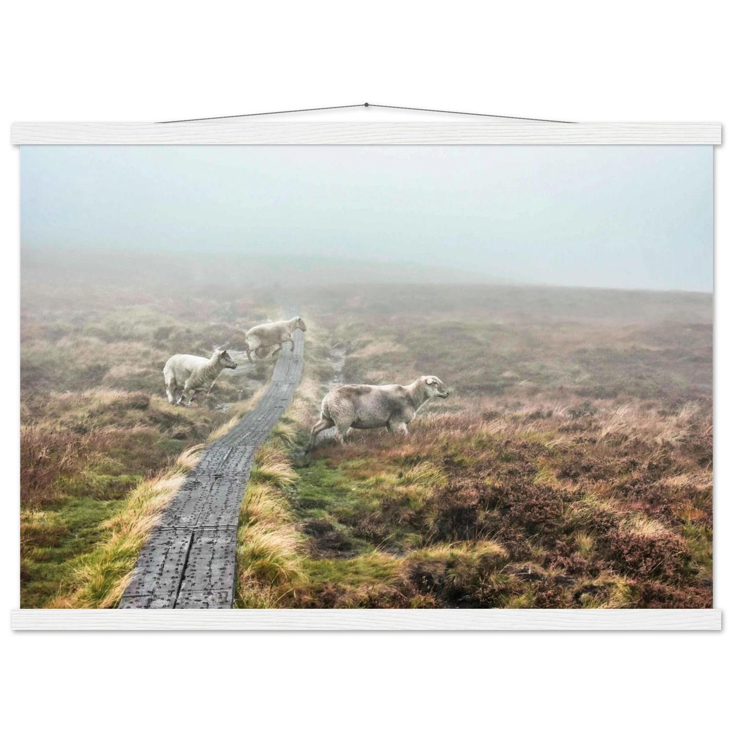 f102bdc0-068b-4ad3-b0db-e23bc9368ed7