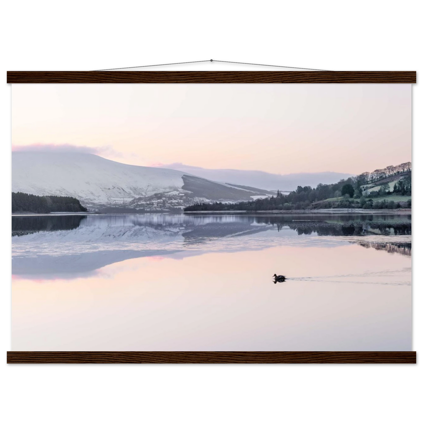 f1a5a986-c712-4f97-92d1-2b8825333603